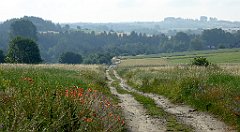 0058_TZ60_P1120267_cr