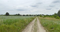 0315_TZ60_P1120342_cr