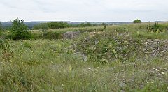 0368_TZ60_P1120392_cr