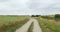 0403_TZ60_P1120399_cr