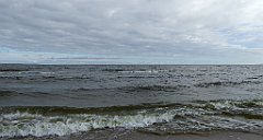 0192_TZ60_P1120528_cr