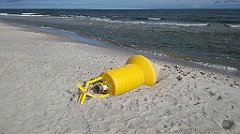 0203_A806_IMG_20160717_082341_cr