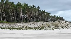 0268_TZ60_P1120606_cr