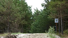 0311_TZ60_P1120643_cr