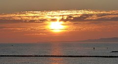 0042a_TZ60_P1120757_cr