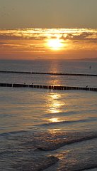 0043_TZ60_P1120759_cr