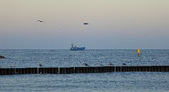 0054_TZ60_P1120766_cr