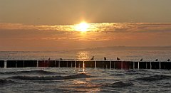 0062_TZ60_P1120770_cr