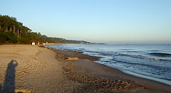 0102_TZ60_P1120794_cr