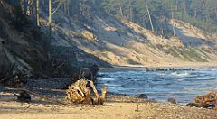 0155a_TZ60_P1120829_cr