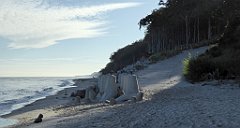 0201_TZ60_P1120863_cr