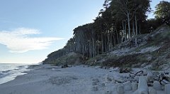 0205_TZ60_P1120865_cr