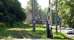 124_TZ60_P1130023_cr