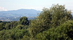 187_TZ60_P1130081_cr