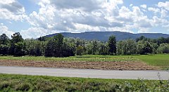 185_TZ60_P1130204_cr