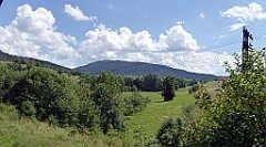 240_TZ60_P1130242_cr