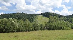 260_TZ60_P1130252_cr