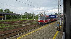 294_TZ60_P1130297_cr