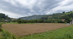 361_TZ60_P1130330_cr