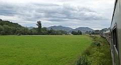 362_TZ60_P1130331_cr