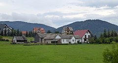 428_TZ60_P1130398_cr