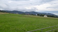 444_TZ60_P1130415_cr