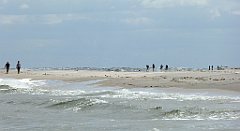 0382_TZ60_P1130783_cr