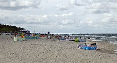 0477_TZ60_P1130847_cr