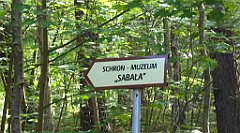 0513_TZ60_P1130865_cr