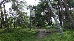 0520_TZ60_P1130872_cr