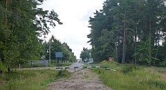 0006b_3D_P1100441_cr