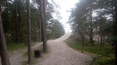 0271_A806_IMG_20160813_095955_cr