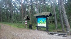 0272_A806_IMG_20160813_100005_cr