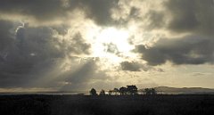 0048_TZ60_P1130909_cr