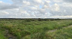 0073_TZ60_P1130919_cr