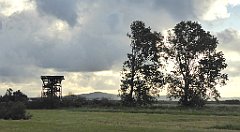 0090_TZ60_P1130932_cr