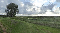 0096_TZ60_P1130936_cr