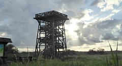 0102a_TZ60_P1130937_cr