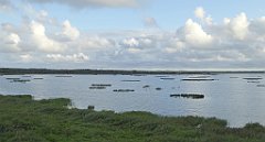 0126_TZ60_P1130968_cr