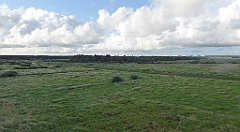 0134_TZ60_P1130976_cr