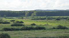 0135_TZ60_P1140023_cr