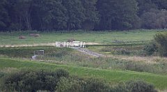 0136a_TZ60_P1130977_cr