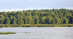 0151_TZ60_P1140004_cr