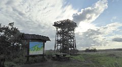 0200_TZ60_P1140027_cr