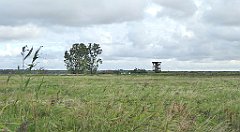 0209_TZ60_P1140028_cr