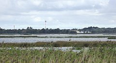 0243_TZ60_P1140056_cr