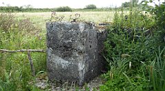 0269_TZ60_P1140068_cr