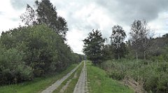 0274_TZ60_P1140071_cr