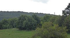 0292_TZ60_P1140084_cr