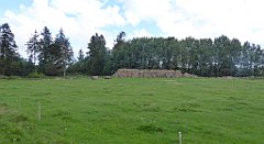 0293_TZ60_P1140085_cr